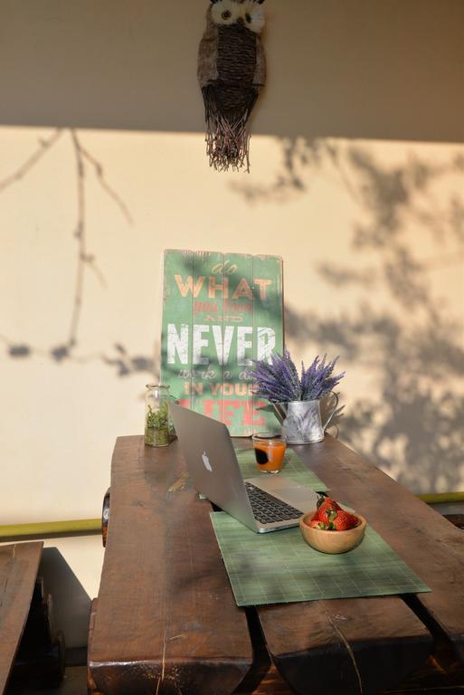 Collosal Apartment With Garden Bucareste Exterior foto