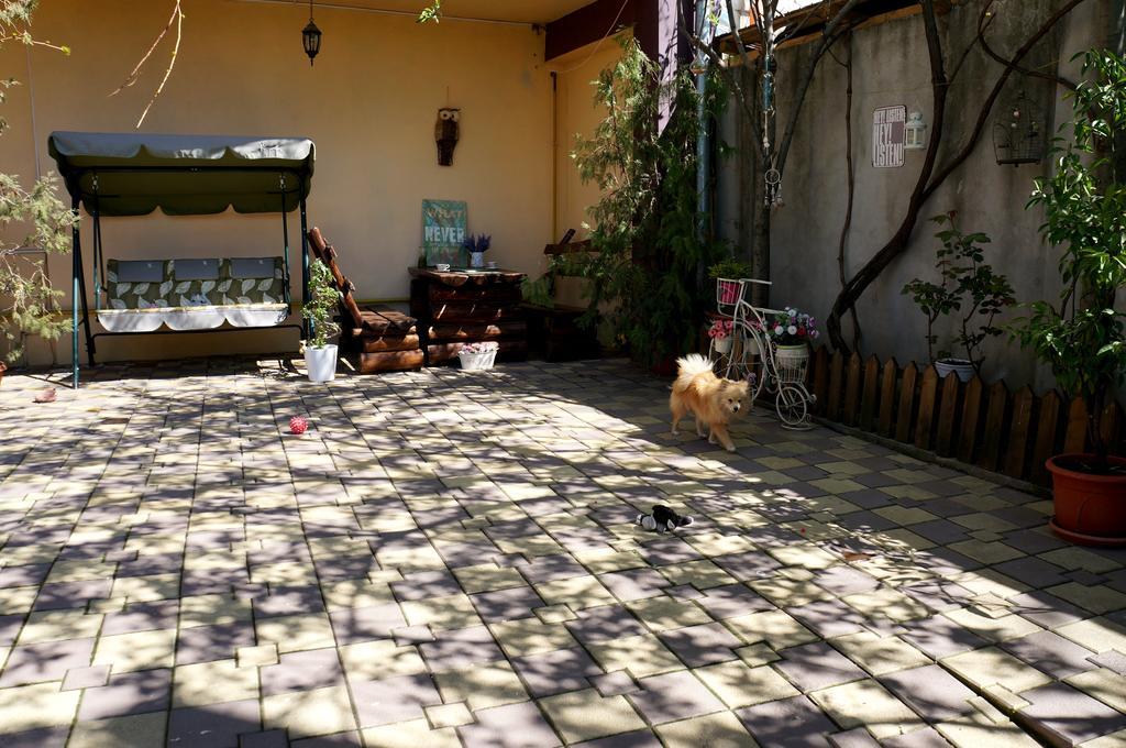 Collosal Apartment With Garden Bucareste Exterior foto